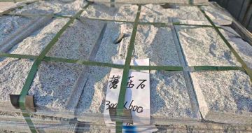 揭阳芝麻白蘑菇石，自然面